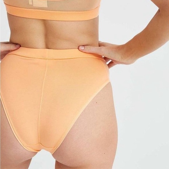 RicherPoorer Womens High Cut Brief Panty Mesh Sides Small Cantalope - Picture 10 of 11